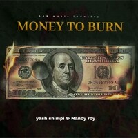 Money to burn