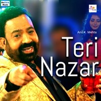 Teri Nazar