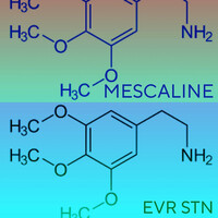 Mescaline