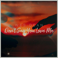 Don't Say You Love Me