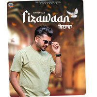 Fizawaan