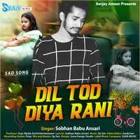 Dil Tod Diya Rani