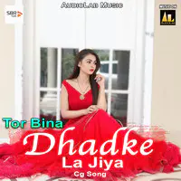 Tor Bina Dhadke La Jiya-Cg Song