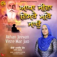 Akhan Jeevan Visre Mar Jao