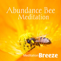 Abundance Bee Meditation