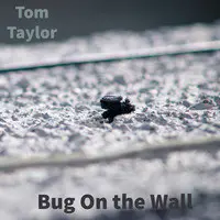 Bug on the Wall