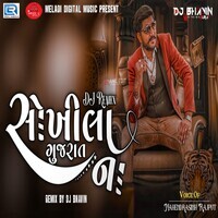 Sokhila Gujarat Na Dj Remix