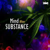 Mind After Substance