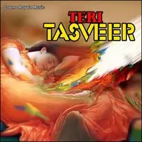 Teri Tasveer
