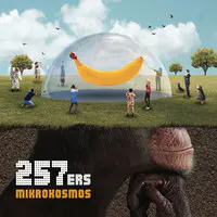 Save Money Song|257ers|Mikrokosmos| Listen To New Songs And Mp3.