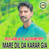 Mare Dil Da Karar Gia