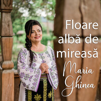 Floare Albă De Mireasă