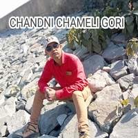 Chandni Chameli Gori