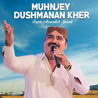 Muhnjey Dushmanan Kher