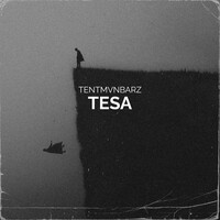 Tesa