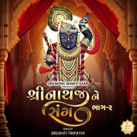 Shrinathji Ne Sang Bhag-2