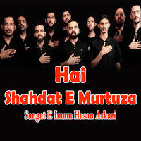 Hai Shahdat E Murtuza