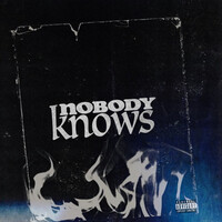 Nobody Knows Song Download: Nobody Knows MP3 Song Online Free on Gaana.com