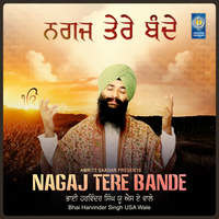 Nagaj Tere Bande