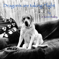 Dragon's Are Taking Flight