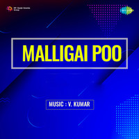 Malligai Poo Songs Download: Play & Listen Malligai Poo Tamil MP3 Song ...