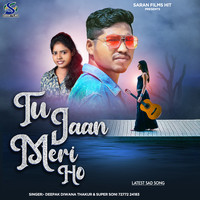 Tu Jaan Meri Ho