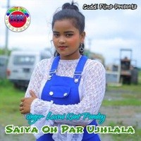 SAIYA OH PAR UJHLALA