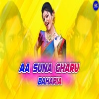 Aa Suna Gharu Bahari Aa ( Remix