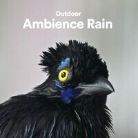 Outdoor Ambience Rain