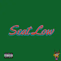 Seat Low