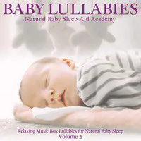 Baby Lullabies: Relaxing Music Box Lullabies for Natural Baby Sleep, Vol.2