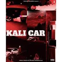 Kali Car (feat. Senu Bhiwani Ala)