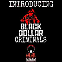 Introducing Black Collar Criminals