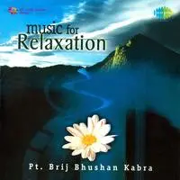 Music For Relaxation - Pandit Brij Bhushan Kabra