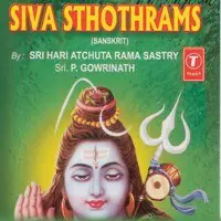 Siva Sthothrams