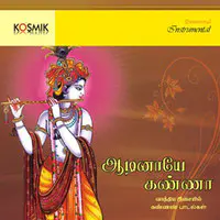 Aadinaye Kanna - Songs on Lord Krishna Instrumental