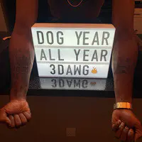 Dog Year All Year