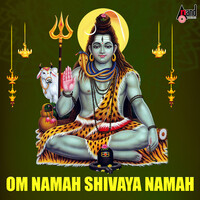 Om Namah Shivaya Namah