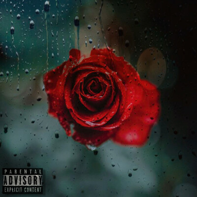 L8te Song|Kiing Rose|I Heard It Rains Where the Sun Won’t Shine| Listen ...