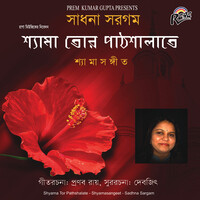 Maa Tor Chokher Kajol | মা তোর চোখের কাজল (মা ...