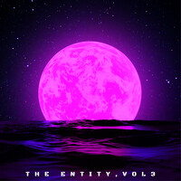 The Entity, Vol. 3