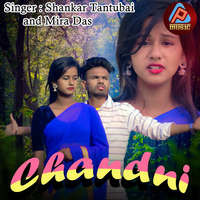 Chandni