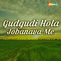 Gudgudi Hola Jobanava Me