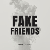 Fake Friends