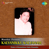 Kalyanikku Kalyanam