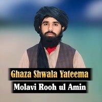 Ghaza Shwala Yateema