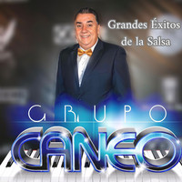 Grandes Éxitos De La Salsa (En Vivo)