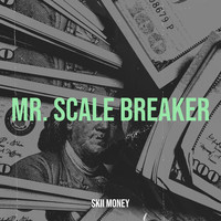 Mr. Scale Breaker