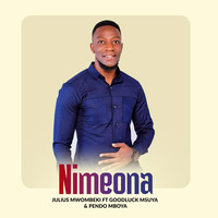 Nimeona (Live)