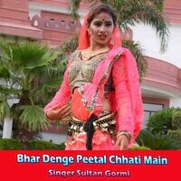 Bhar Denge Peetal Chhati Main